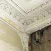 Detail of cornice in North Room on first floor of No 17 Belhaven Terrace West, Glasgow.