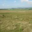 Watching brief, General shot looking NE, Clashindarroch Windfarm, Aberdeenshire