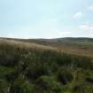 Watching brief, General shot looking S, Clashindarroch Windfarm, Aberdeenshire