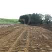 Watching brief, Access track up to site 46, Clashindarroch Windfarm, Aberdeenshire
