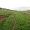 Watching brief, Farmer's track, Clashindarroch Windfarm, Aberdeenshire