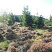 Watching brief, Area site 67, Clashindarroch Windfarm, Aberdeenshire