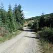 Watching brief, Area site 21, Clashindarroch Windfarm, Aberdeenshire