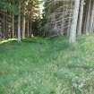 Watching brief, Area site 2, Clashindarroch Windfarm, Aberdeenshire