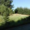 Watching brief, Area site 2, Clashindarroch Windfarm, Aberdeenshire