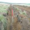 Watching brief, Ditch digging across the trackway, Clashindarroch Windfarm, Aberdeenshire