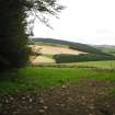 Watching brief, The remains of site 46, which is partly covered by forestry and located within a modern farm area, Clashindarroch Windfarm, Aberdeenshire