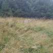 Watching brief, Earthworks at edge forest, possibly associated with site 21, centred on NGR, Clashindarroch Windfarm, Aberdeenshire