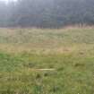 Watching brief, Earthworks at edge forest, possibly associated with site 21, centred on NGR, Clashindarroch Windfarm, Aberdeenshire