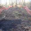 Archaeological evaluation, Trench 1, pre-excavation, Keir Wood Fort, Fife