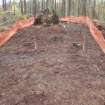 Archaeological evaluation, Trench 1, E end following removal of brash, Keir Wood Fort, Fife