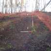 Archaeological evaluation, Trench 2 following removal of brash, Keir Wood Fort, Fife