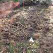 Archaeological evaluation, Trench 2 following removal of brash, Keir Wood Fort, Fife