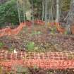 Archaeological evaluation, Trench 3, pre-excavation, Keir Wood Fort, Fife
