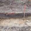 Archaeological evaluation, Trench 1, NW-facing section, Keir Wood Fort, Fife