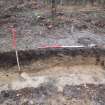 Archaeological evaluation, Trench 1, NW-facing section, Keir Wood Fort, Fife