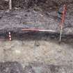 Archaeological evaluation, Trench 1, NW-facing section, Keir Wood Fort, Fife