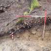 Archaeological evaluation, Trench 1, NW-facing section, Keir Wood Fort, Fife