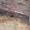 Archaeological evaluation, Trench 1, NW-facing section, Keir Wood Fort, Fife