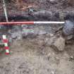 Archaeological evaluation, Trench 1, edging stones 020, Keir Wood Fort, Fife