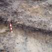 Archaeological evaluation, Trench 1, SE-facing section, Keir Wood Fort, Fife