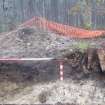 Archaeological evaluation, Trench 3, sequence of shots showing NW-facing section, Keir Wood Fort, Fife