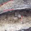Archaeological evaluation, Trench 3, sequence of shots showing NW-facing section, Keir Wood Fort, Fife
