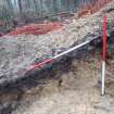 Archaeological evaluation, Trench 3, sequence of shots showing NW-facing section, Keir Wood Fort, Fife