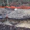Archaeological evaluation, Trench 3, series of oblique shots showing NW-facing section, Keir Wood Fort, Fife