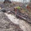 Archaeological evaluation, Trench 3, SE-facing section, oblique shot, Keir Wood Fort, Fife