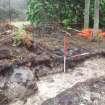 Archaeological evaluation, Trench 3, SE-facing section NE end, oblique shot, Keir Wood Fort, Fife