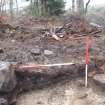 Archaeological evaluation, Trench 3, sequence of shots showing SE-facing section (some oblique), Keir Wood Fort, Fife