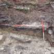 Archaeological evaluation, Trench 3, sequence of shots showing SE-facing section (some oblique), Keir Wood Fort, Fife