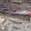 Archaeological evaluation, Trench 3, sequence of shots showing SE-facing section (some oblique), Keir Wood Fort, Fife