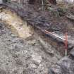 Archaeological evaluation, Trench 3, sequence of shots showing SE-facing section (some oblique), Keir Wood Fort, Fife