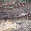Archaeological evaluation, Trench 3, sequence of shots showing SE-facing section (some oblique), Keir Wood Fort, Fife