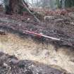 Archaeological evaluation, Trench 3, sequence of shots showing SE-facing section (some oblique), Keir Wood Fort, Fife