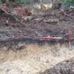 Archaeological evaluation, Trench 3, sequence of shots showing SE-facing section (some oblique), Keir Wood Fort, Fife
