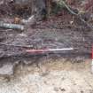 Archaeological evaluation, Trench 3, sequence of shots showing SE-facing section (some oblique), Keir Wood Fort, Fife