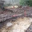 Archaeological evaluation, Trench 3, sequence of shots showing SE-facing section (some oblique), Keir Wood Fort, Fife