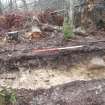 Archaeological evaluation, Trench 3, sequence of shots showing SE-facing section (some oblique), Keir Wood Fort, Fife