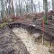 Archaeological evaluation, Trench 3, sequence of shots showing SE-facing section (some oblique), Keir Wood Fort, Fife