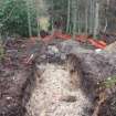 Archaeological evaluation, Trench 3, general post-excavation shot, Keir Wood Fort, Fife