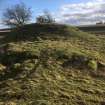 General view of castle mound across ditch and causeway, from the NW. 