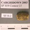 Post excavation, Lead bead [SF19.2] with scale, Carghidown Castle
