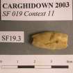 Post excavation, Lead bead [SF19.3] with scale, Carghidown Castle