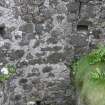 Historic Building Survey photograph, From S, Internal S-facing elevation of the W wing, Coroghon Castle, Canna