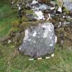 Digital photograph of panel in context with scale, from Scotland's Rock Art Project, Glasvaar 6, Kilmartin, Argyll and Bute