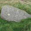 Digital photograph of rock art panel context, Scotland's Rock Art Project, Lairhill 1, Stirling
