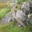 Digital photograph of rock art panel context, Scotland's Rock Art Project, Creag na h-Earpa, Perth and Kinross